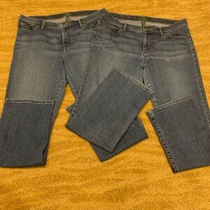 LRL LAUREN Size 14 Classic Straight Women’s Jeans Lot Of 2